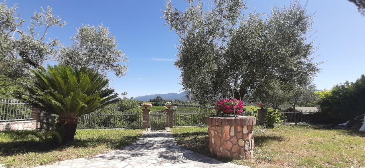 Villa Pacchini Poggio Mirteto Eksteriør bilde